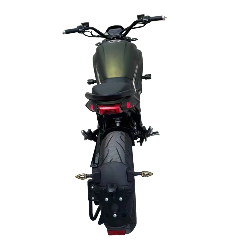 Электромотоцикл Diavel PRO, вид сзади Электромотоцикл Diavel PRO, вид сзади